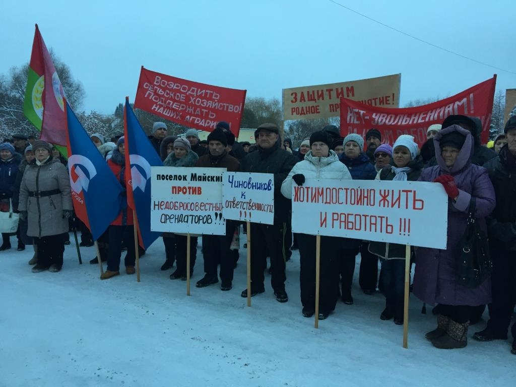 На митинг 7 ноября против уничтожения крупнейшего в стране и в крае свинокомплекса «Пермский» вышли более 700 человек работников предприятия, жителей пос. Майский
